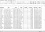 do accurate data entry and excel work